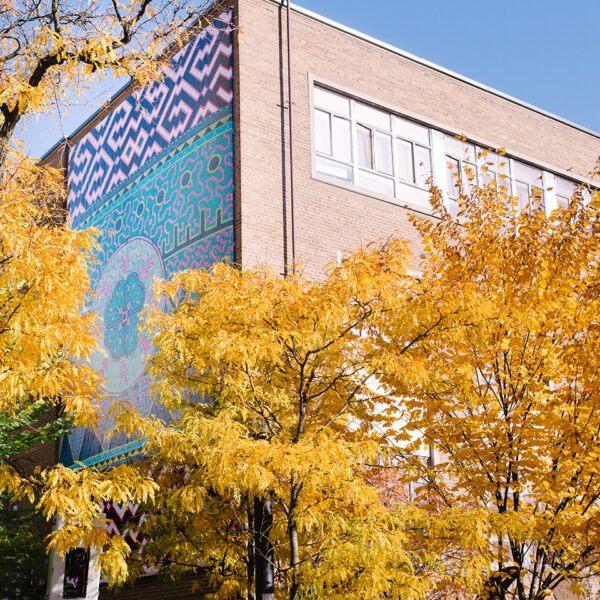 A photo of the new Indigenous mural installed on Kerr Hall West is seen through the trees on the TMU campus.