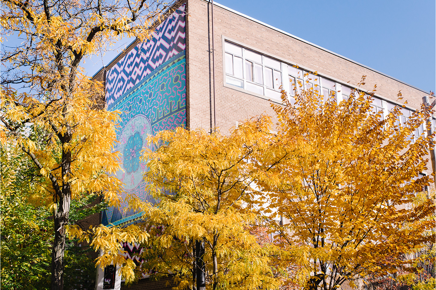 A photo of the new Indigenous mural installed on Kerr Hall West is seen through the trees on the TMU campus.