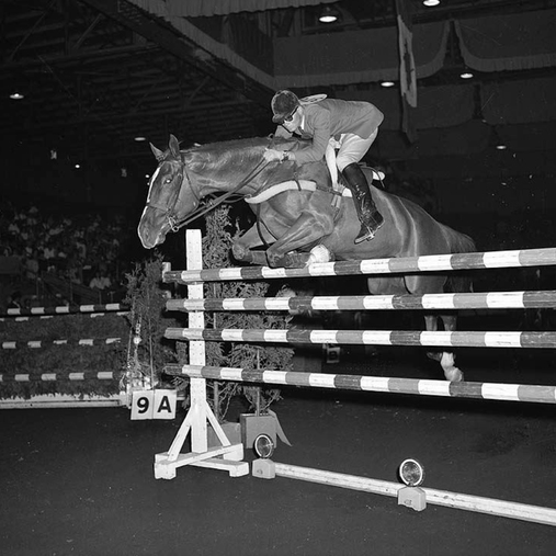 Horse and rider jumping obstacle at the Royal Agricultural Winter Fair