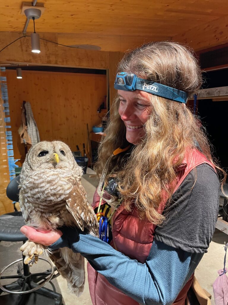 Lister with a Barred Owl at Prince Edward Point Bird Observatory during fall migration monitoring.