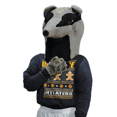 A university mascot dressed as a black ant.