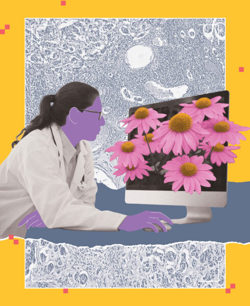 Illustration of a doctor using a computer.